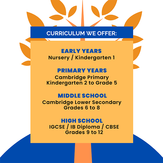 Curriculum