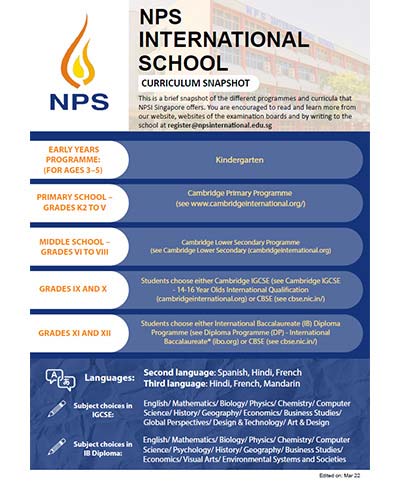 NPSI Curricilum Snapshot